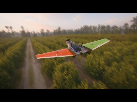fpv-drone-dances-with-rc-airplane--cinematic-fpv