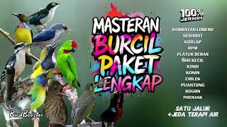 Download lagu MASTERAN BURCIL LENGKAP MATERI BURUNG JUARA!! SATU JALUR   JEDA TERAPI AIR! mp3