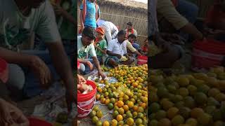 preview picture of video 'Jai Srimn Narayan (Semariyan chhalka)'