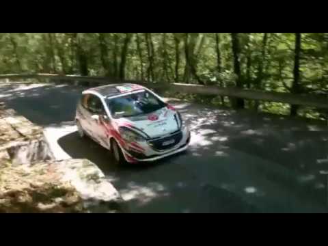 52° Rally Friuli Venezia Giulia 2016 (action,pure sound, mistakes)ps 3-5