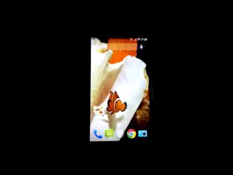 Clownfish 3D Live Wallpaper Video