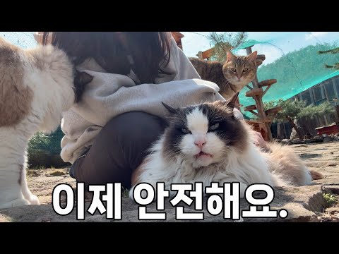 산불 재해 후일담 | 우리는 다시 일상으로 돌아왔습니다