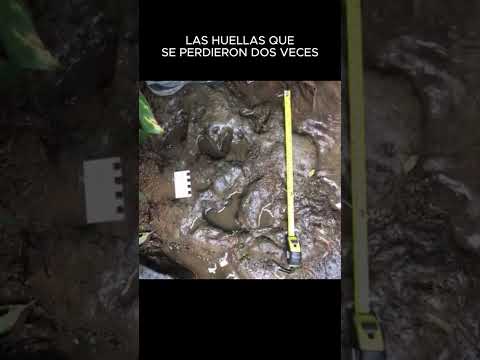 Las huellas «perdidas» de Oiba, Santander