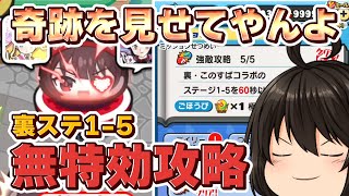 【強敵攻略】無特効で挑む裏ステージ1-5の奇跡　このすばコラボ第2弾【妖怪ウォッチぷにぷに】