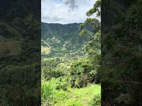 Barrientos, arboledas, Norte De Santander, Colombia #travel #turismo