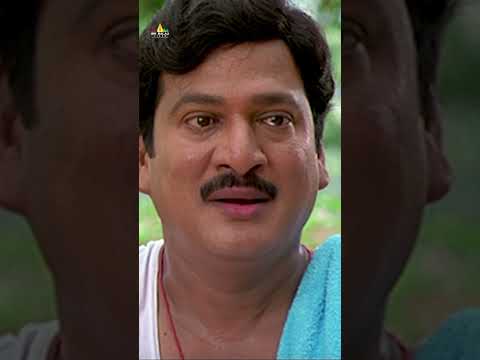 Rajendra Prasad's Heart-Touching Words — watch video