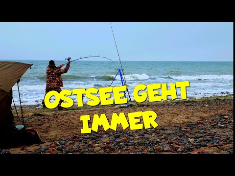 SUCCESSFUL SURF FISHING ON THE BALTIC SEA IN 2022. COD, PLAICE, AND CO.