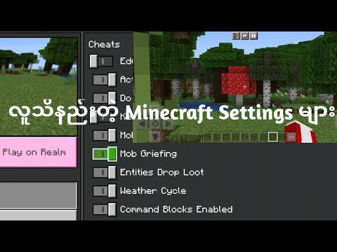 သင်မသိသေးသော Minecraft settings များ Ep 3