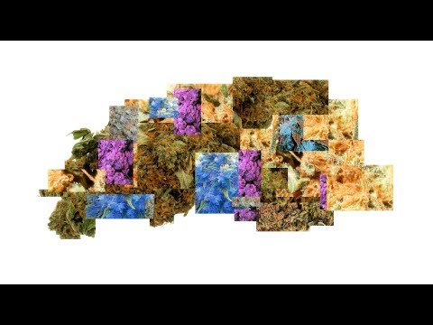 Balkano S. & Intense – Hybridweed [Beat: The Cloudlounger]