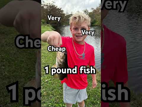 Very Very Cheap 1 pound fish