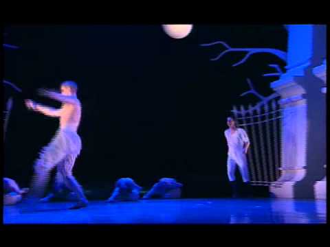 Swan Lake - Pas De Deux (Cooper & Ambler)