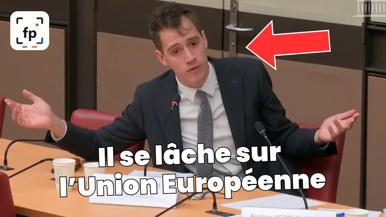Bruxelles enterre nos champions IA… le PDG de Mistral SONNE L'ALERTE !