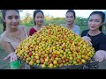 Fresh jujube fruit pick and eat delicious with chili salt - Amazing video
