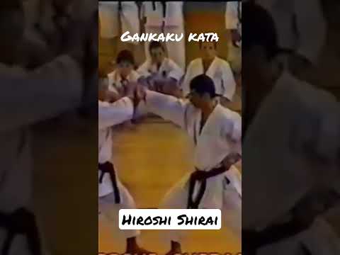 Hiroshi Shirai sensei.Gankaku kata bunkai. Full video 👇