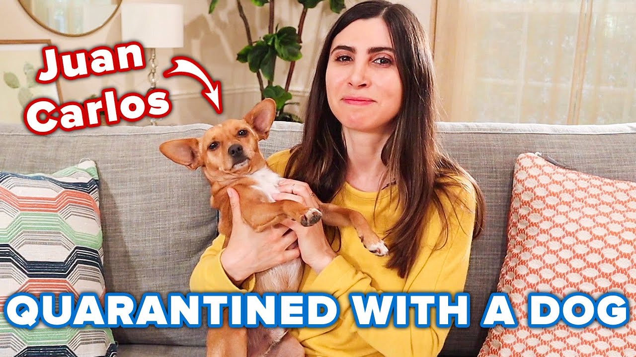 People Share How Their Dogs Are Helping Them During Quarantine