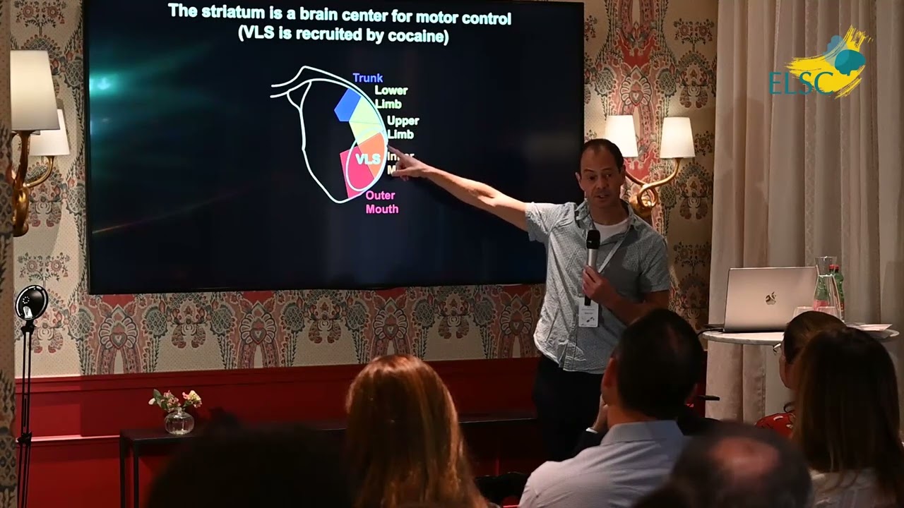 Ami Citri - "Move it: Motivation, Decision-Making and Addiction"