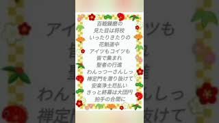 Download lagu 【新年】底辺歌い手が千本桜/黒うさP様歌ってみた #cover #歌い手 #歌ってみた #新年 mp3