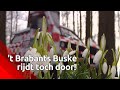 't Brabants Buske gaat tóch rijden, aanstaande zaterdag op Facebook