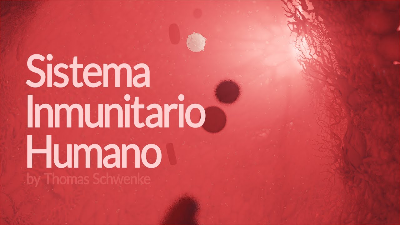 El sistema inmunitario humano