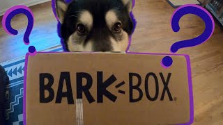 Subscription Boxes- Are They Worth It?