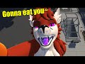 FACE TRACKING Furry ASMR Macro Wants To Eat You