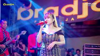Download lagu D'RADJA CERTAINLY - 14 DAYS STAR - AVIS NICKI - IMAM & DIAN WEDDING - LEBAK PAKISAJI JEPARA mp3