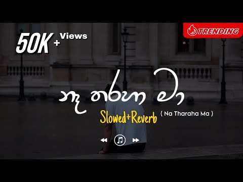 Na Tharaha Ma - නෑ තරහ මා (Slowed+Reverb)