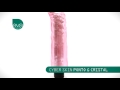 Vibrador Ponto G Cyber Skin Rosa Cristal 19 x 4 cm - Eva Collection - SEX SHOP CURITIBA