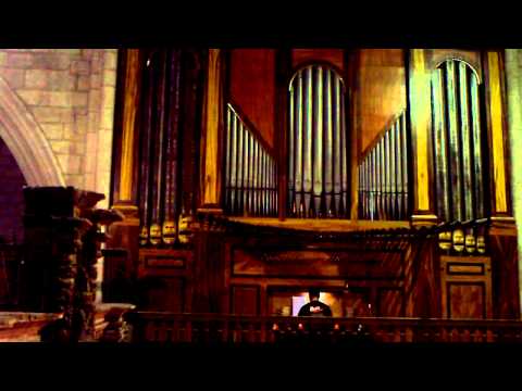 Ultimate Koopa - Organ Cover