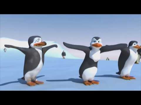 La danse des pingouins