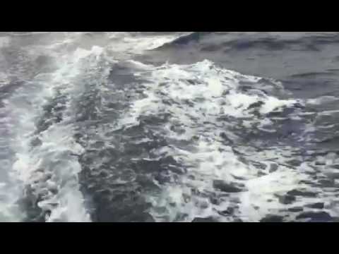 Pegasus-MotionX, Philippe Kahn, Pacific Cup 2010 - Starting our 4th night