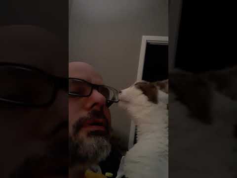 Cat love makes wife JEALOUS!
