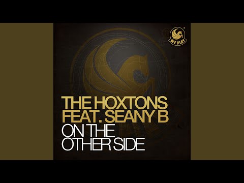 On the Other Side (feat. Seany B.) (Hoxton Whores Remix)
