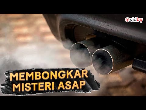 Smoke Engine Disassembly: Weiß, Blau, Schwarz | Smoke Secrets Revealed💨 @CARUPde