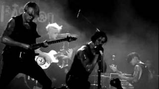 My Passion - Lily White Lies LIVE (FilmGrain)