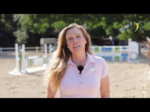 Aufgedunsener Pferdebauch – was tue ich dagegen | Nachgefragt ... abgehakt! Folge 12