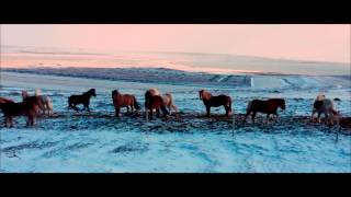 Petit Biscuit - Iceland