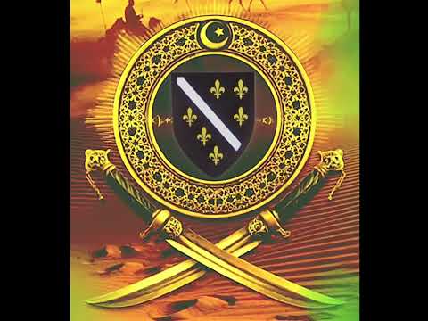 Mi Smo Vojska Allahova (Metal Cover)