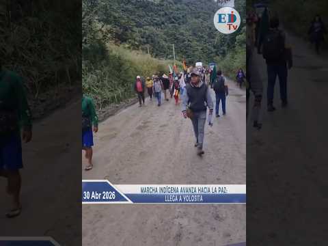 Marcha indígena avanza hacia La Paz: llega a Yolosita