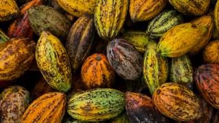 Human ～coexist with nature～