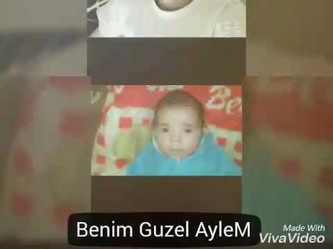 Sali.Sashev.official-2017