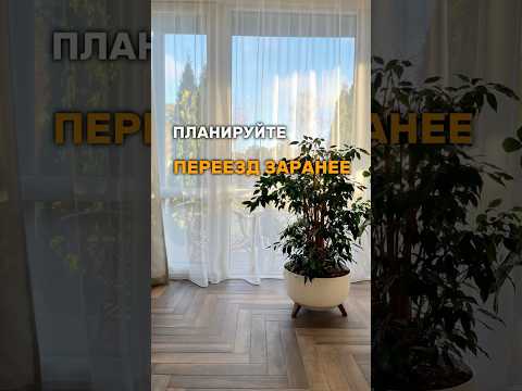 фото переезд, упаковка вещей, организация пространства 0