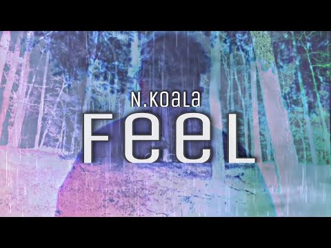 N. Koala - Feel | Lyrics