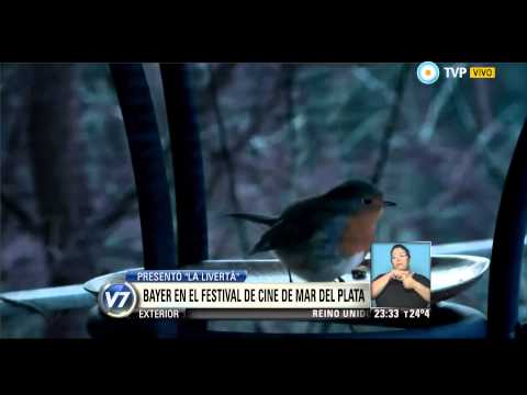 Visión 7 Resumen - Edición del 28-11-2014