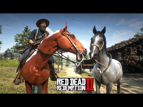NEED NEW HORSES AND MONEY - Let's tame horses and work - Red Dead Redemption 2