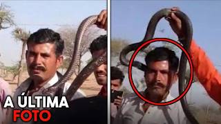 Os Últimos Minutos ATERRORIZANTES do Criador de Cobras Richard Kowalski