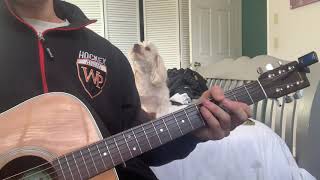 Sticky Fingers (Cover) - Sleeping Through the Flood Shawn &amp; Jaxon (Dog)