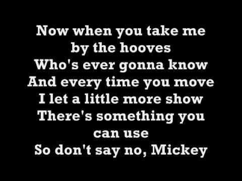 Toni Basil-Hey Mickey Lyrics