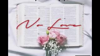 No Love - Anuel AA (Audio Oficial)