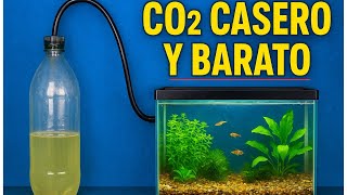 ✅Como hacer CO2 CASERO para ACUARIO PLANTADO - Fácil y Barato [2025]💚